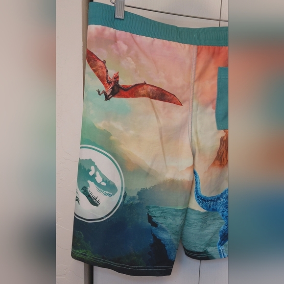 Jurassic World Park T-Rex Graphic Board Shorts Swim Trunks Size XL (14-16) Youth - Picture 7 of 11